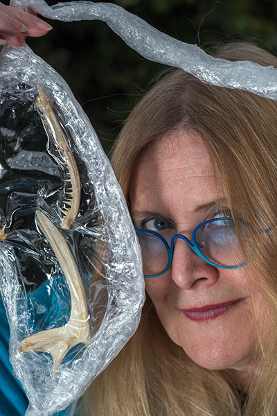 Vivienne Lopes de Leão Laguna